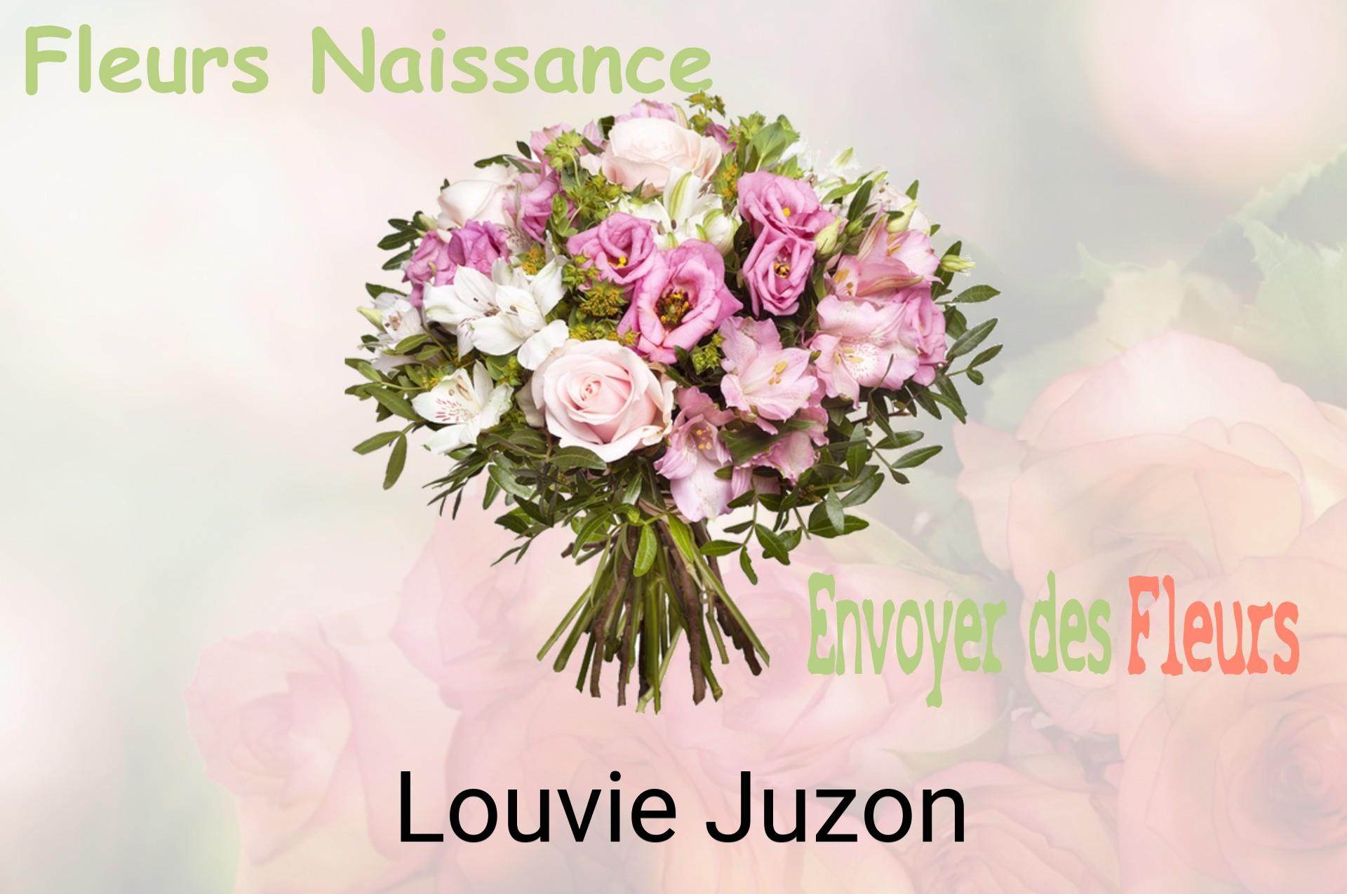 Bouquet de fleurs de naissance livré à Louvie-Juzon